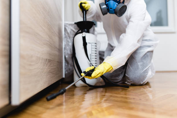 Best Emergency Pest Control  in Bensville, MD