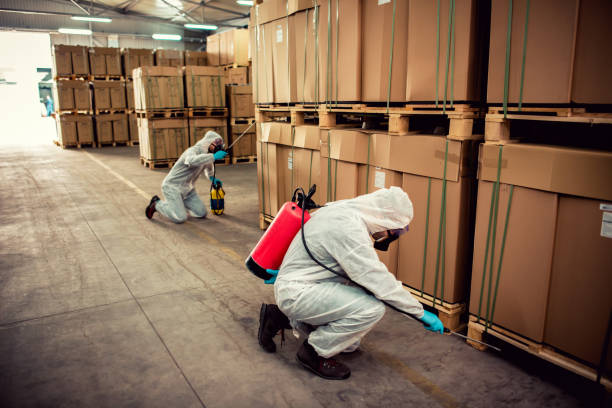 Best Wasp Removal Services  in Bensville, MD