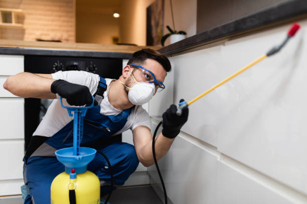 Best Termite Control Services  in Bensville, MD