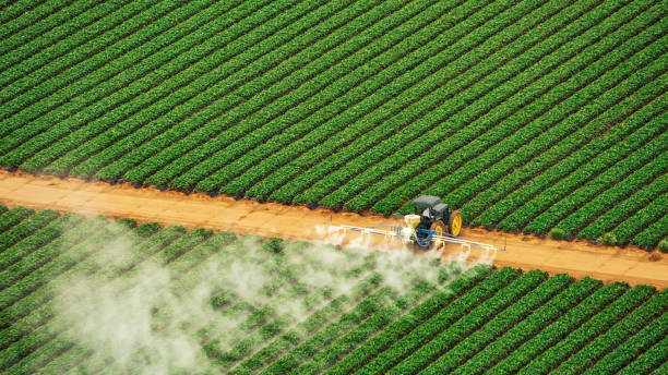 Best Best Pest Control Companies  in Bensville, MD