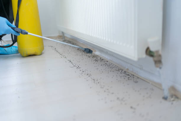 Best Best Pest Control Companies  in Bensville, MD
